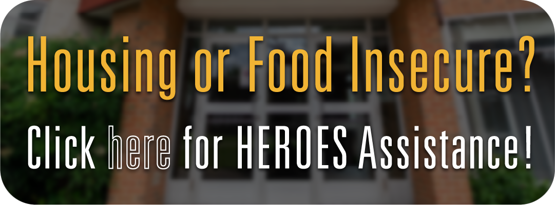 HEROES advert - Housing or Food Insecure?