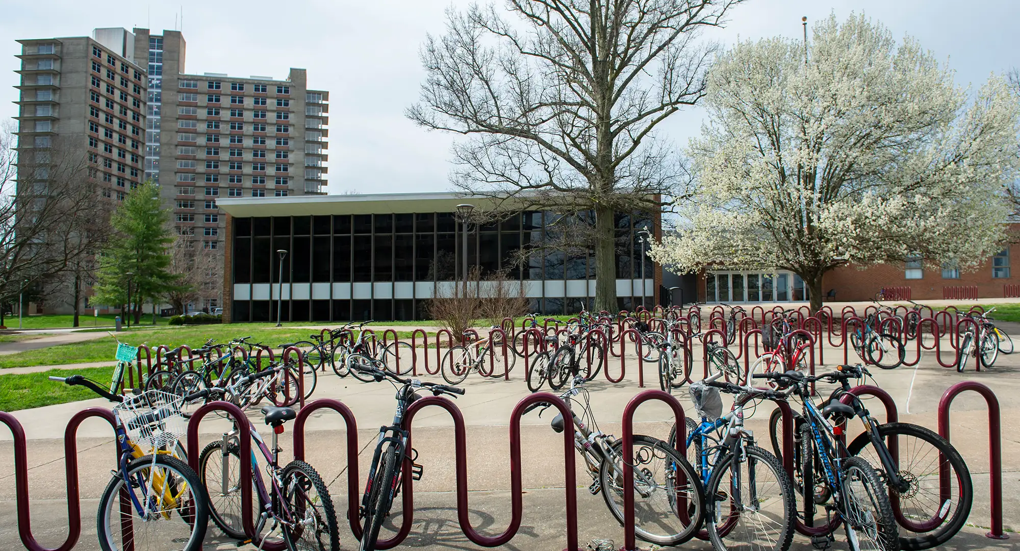 Bicycles fill the racks outside Grinnell Hall with the residence tower and blooming trees in the background.